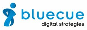 bluecue consulting GmbH & Co. KG Logo